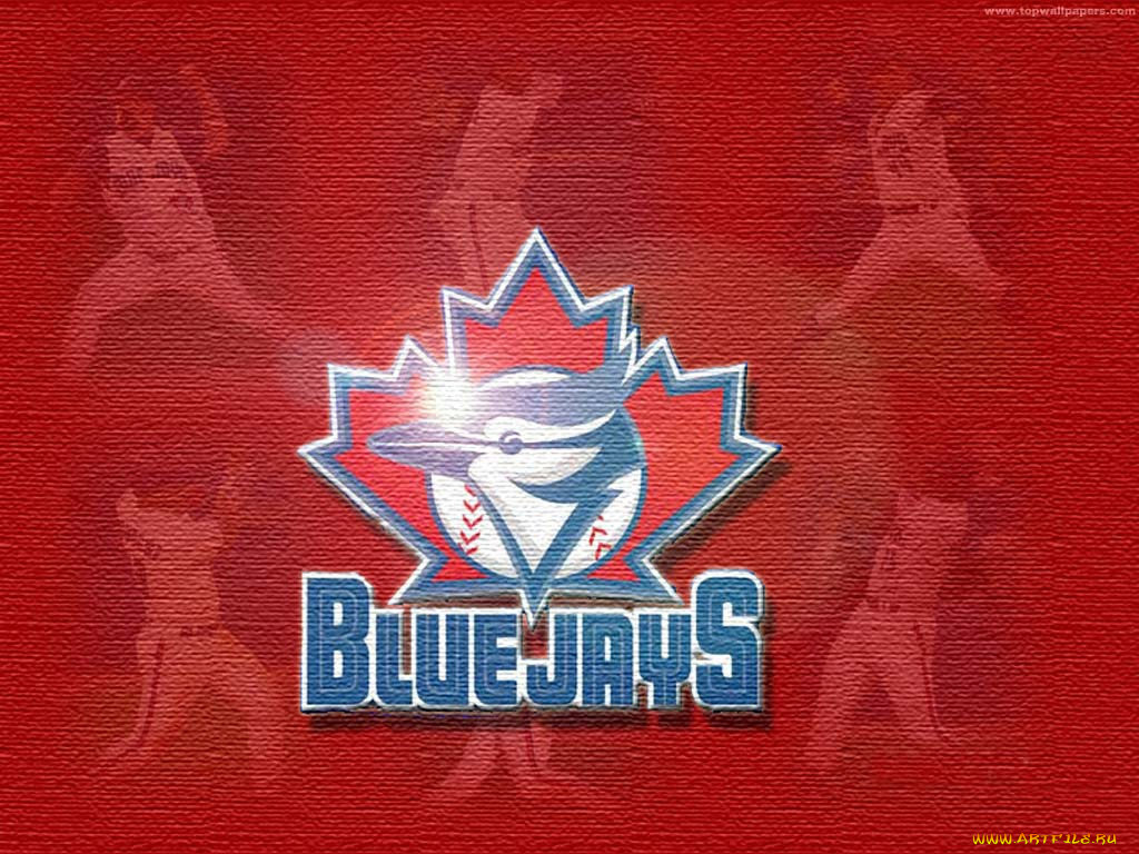 bluejays, , , 